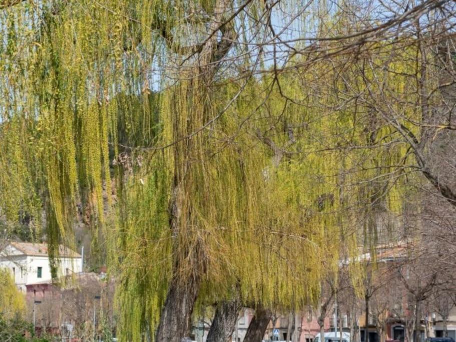 Acogedor Apartamento Cerca Del Casco Antiguo Χιρόνα Εξωτερικό φωτογραφία